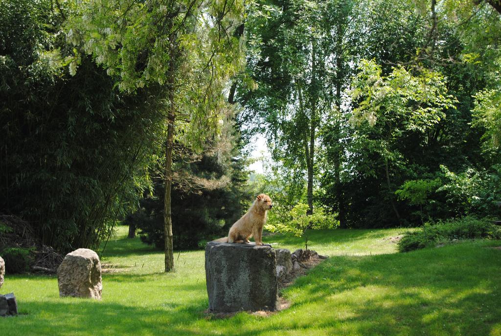 Villa Hedi Dunakiliti Extérieur photo